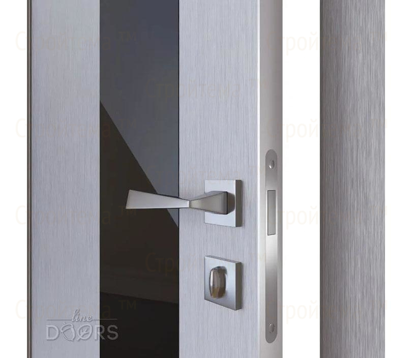 Дверь межкомнатная Линия дверей DO-504 (ДО-504) Металлик/стекло Черное