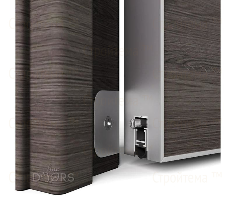 Дверь межкомнатная шумоизоляционная Линия дверей DO-603 (ДО-603) Серый глянец/стекло Черное